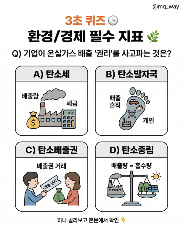 3초 퀴즈 ⏱️ 우리집 장바구니와 연결되는 오늘의 단